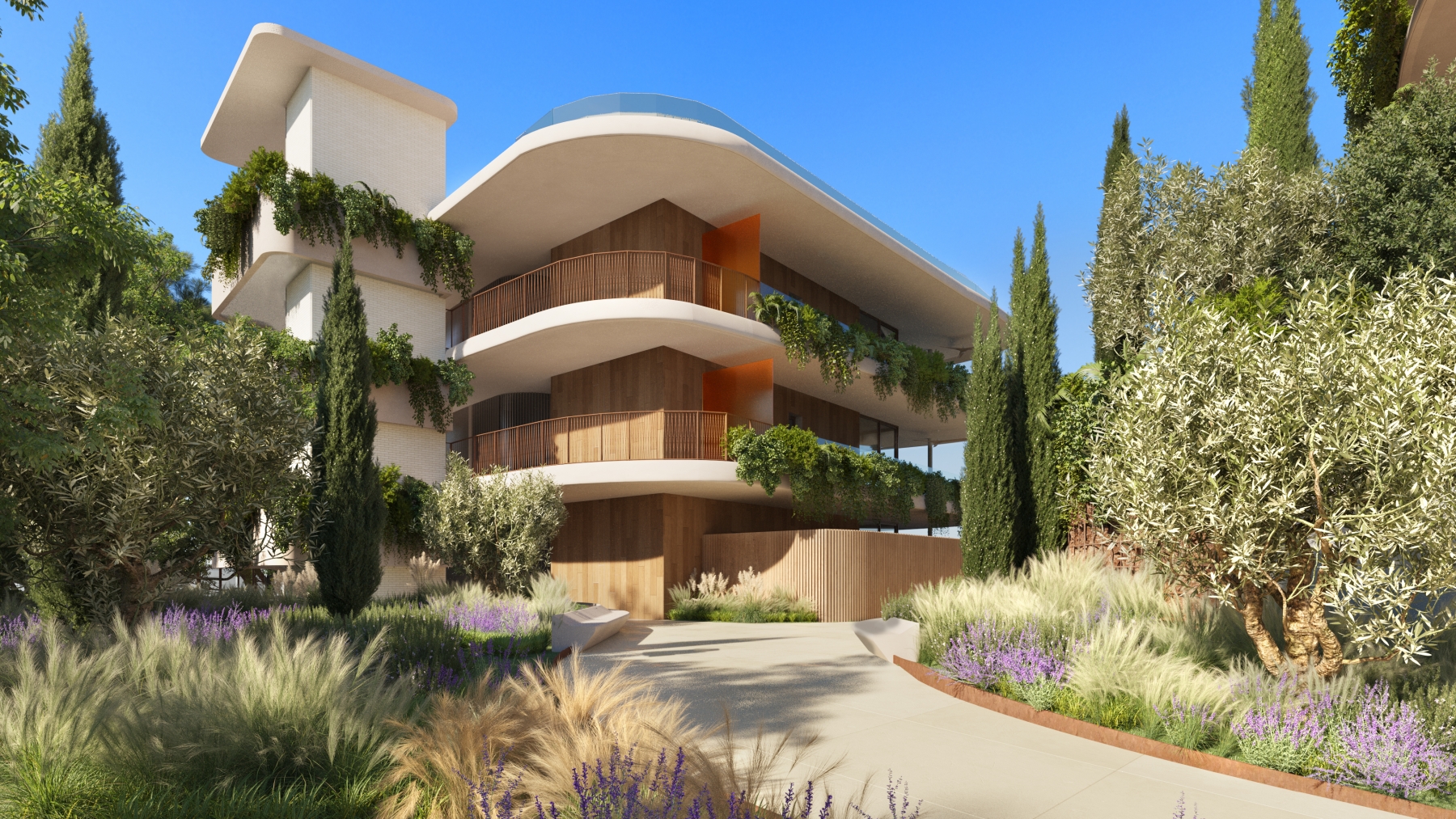 Promoción en El Higuerón