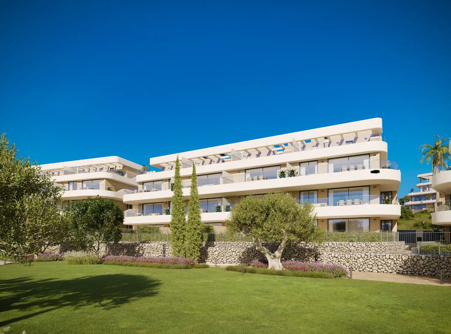 Promoción en Buenas Noches