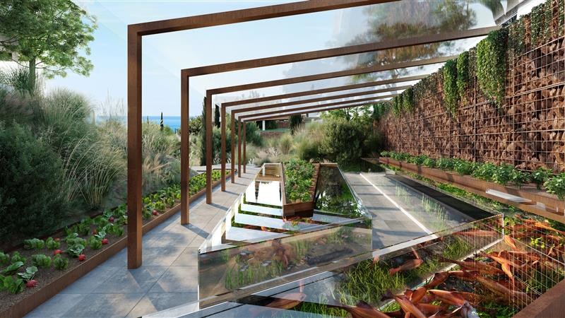 Promoción en El Higuerón